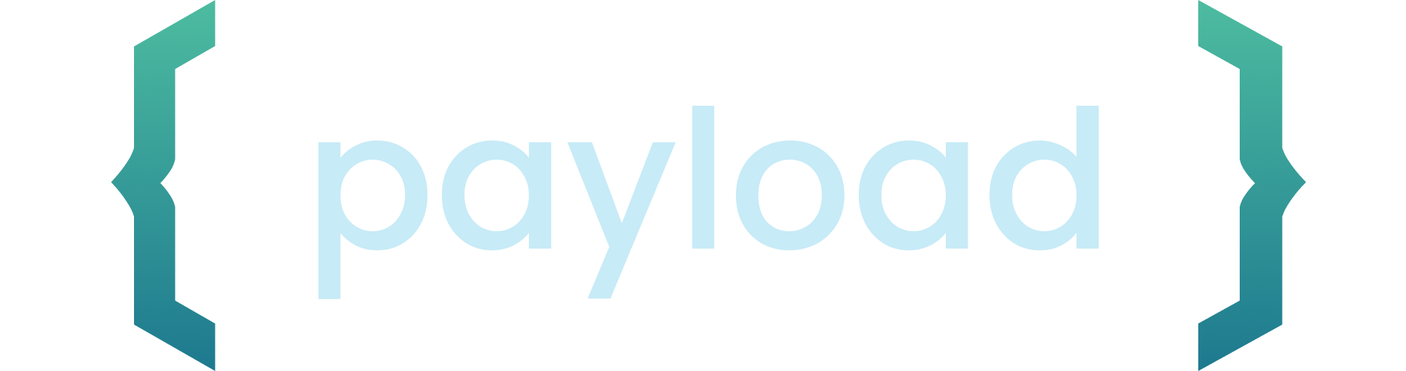 Payload